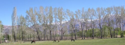 Landschaft